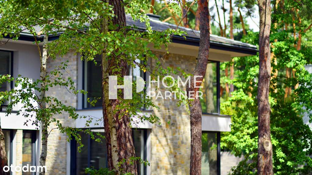 Przepiękna działka z sosnami MPZP, możliwy podział-9