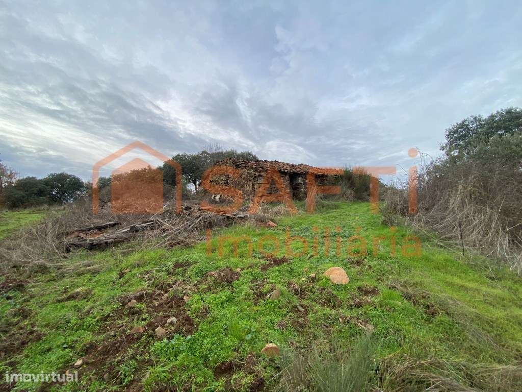 Olival de Excelência com 2,2 Hectares em Macedo de Cavaleiros - Pro...-6