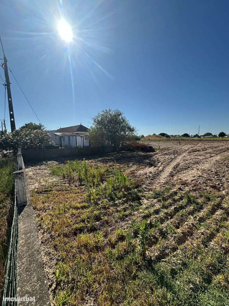Quintinha com Moradia T2 em Foros Salvaterra-9