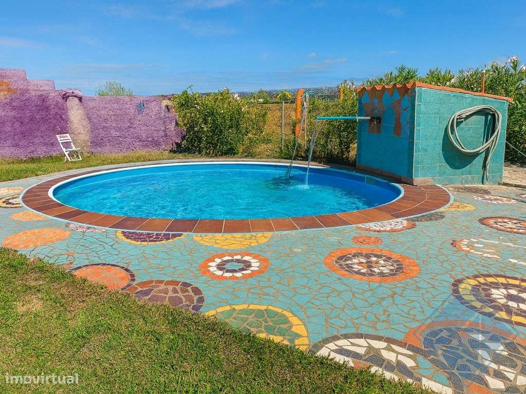 Monte Alentejano com Piscina, Vinha e Árvores de Fruto-9