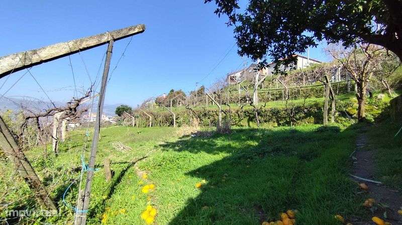 Terreno para construção - Grande imagem: 4/12