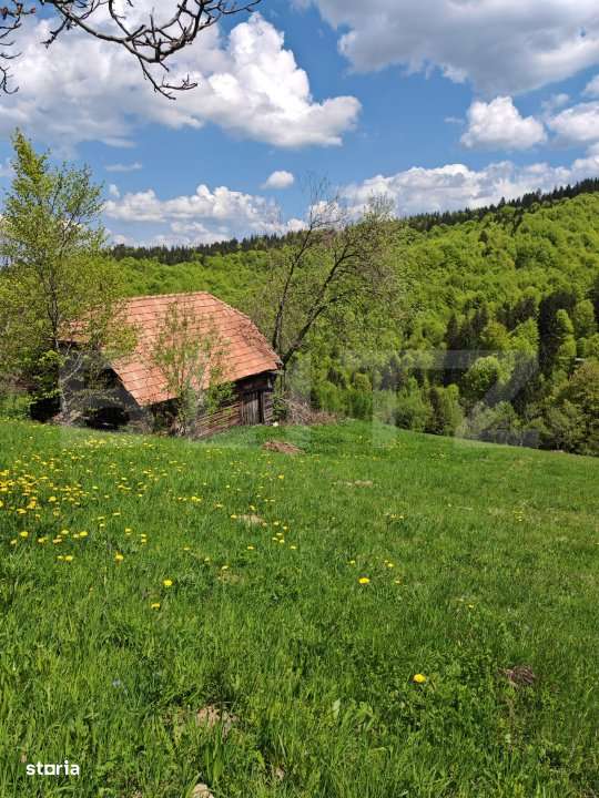 Teren intravilan 3400 mp, in Balaban - Simon, Bran - Brasov - Imagine principală: 3/8