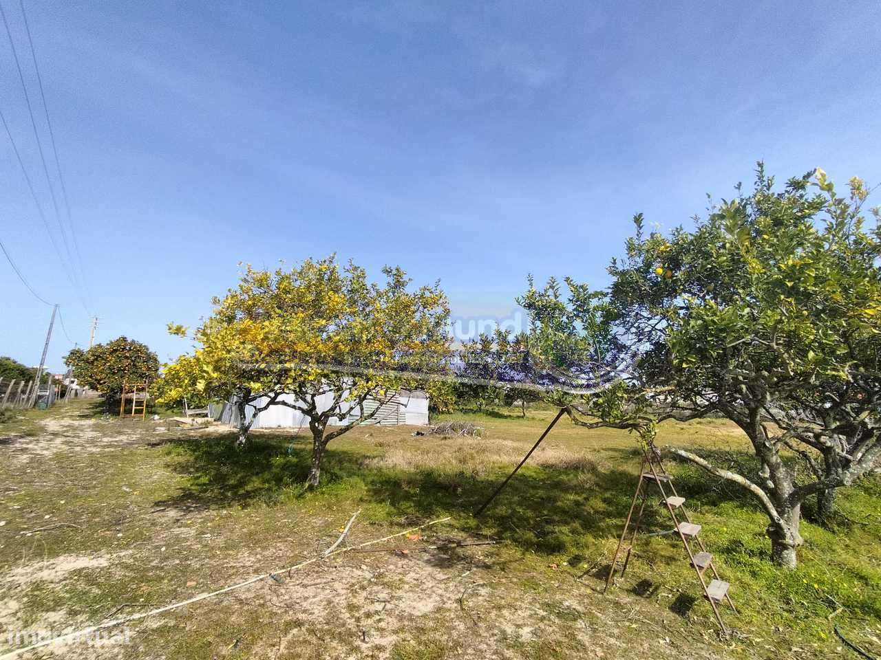 Terreno em Benavente (B446) - Grande imagem: 4/9