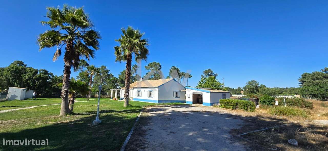 Quinta T4 junto à Serra da Arrábida, com terreno de 2,95 Ha - Grande imagem: 5/60