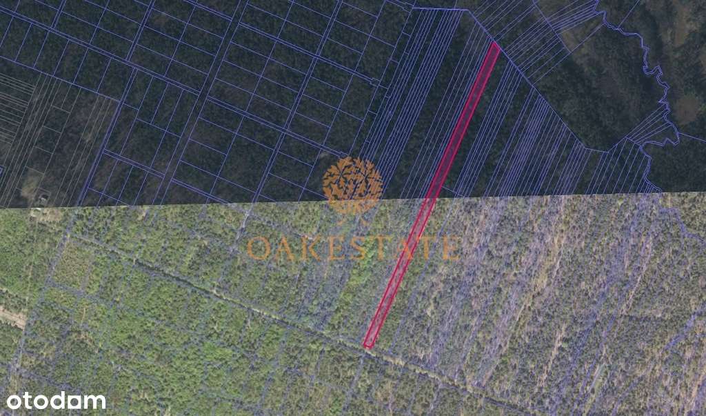 piękna duża leśna działka w zagórzu - Pełny obrazek: 4/4