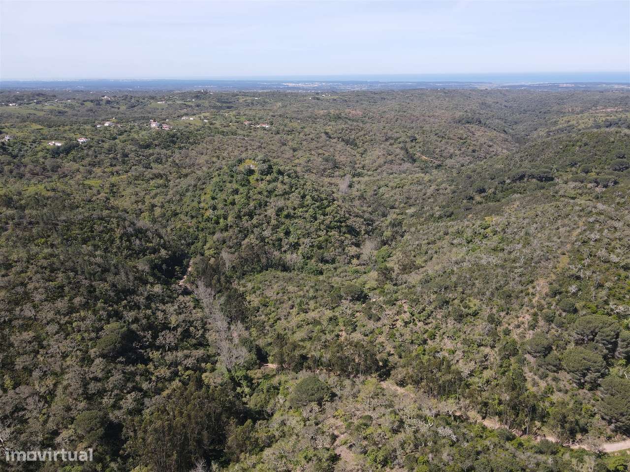 Terreno Rústico  Venda em São Francisco da Serra,Santiago do Cacém - Grande imagem: 5/38