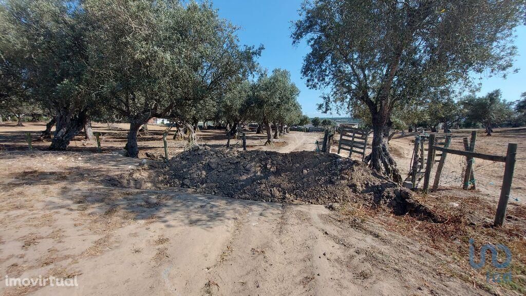 Terreno de Lazer em Setúbal