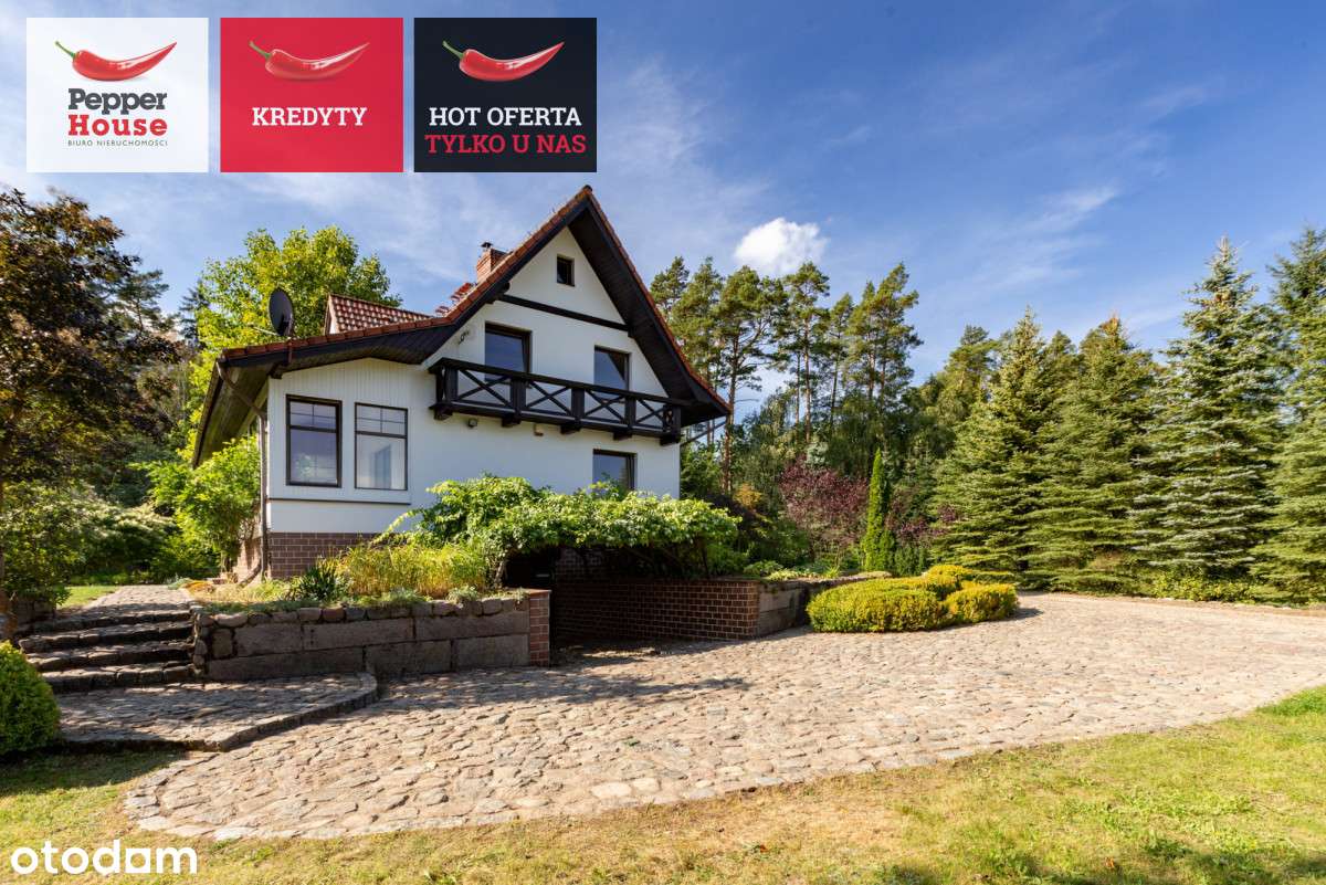 1,2 HA działki z domem i zab. gospodarczymi - Pełny obrazek: 4/20