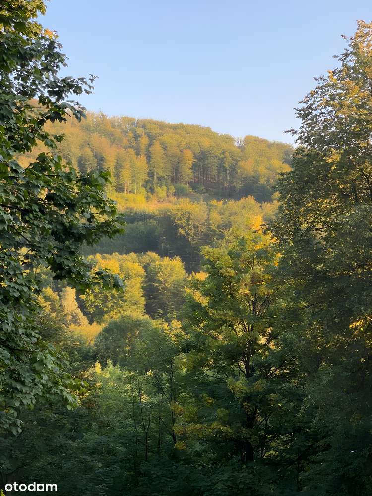 Kozubnik: Twój Azyl w Sercu Gór | Mieszkanie i Inwestycja w Jednym-7