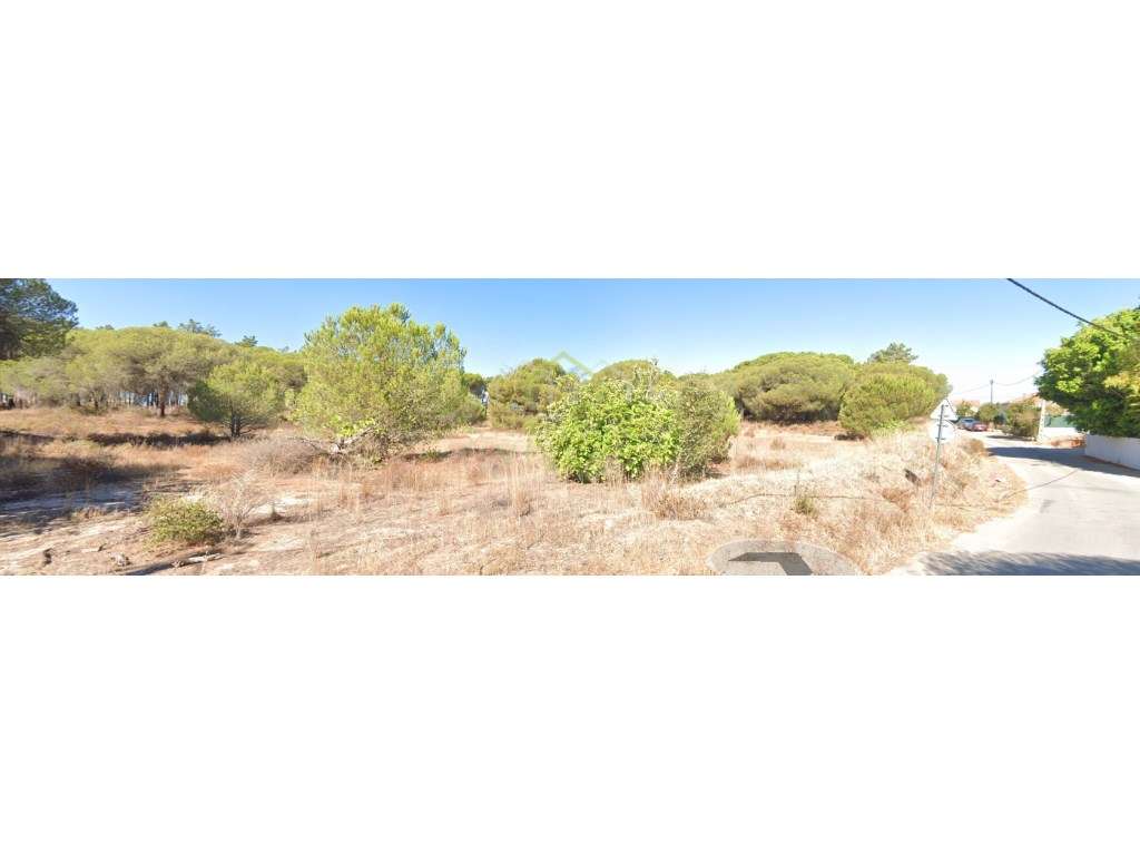 Terreno Rústico de 28.400m² Próximo ao Hospital das Gambelas, Faro - Grande imagem: 4/5