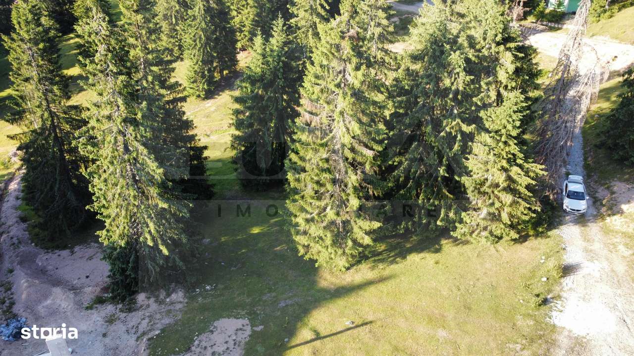 Teren intravilan 250 mp, Arieseni - Partie Ski - Imagine principală: 3/4