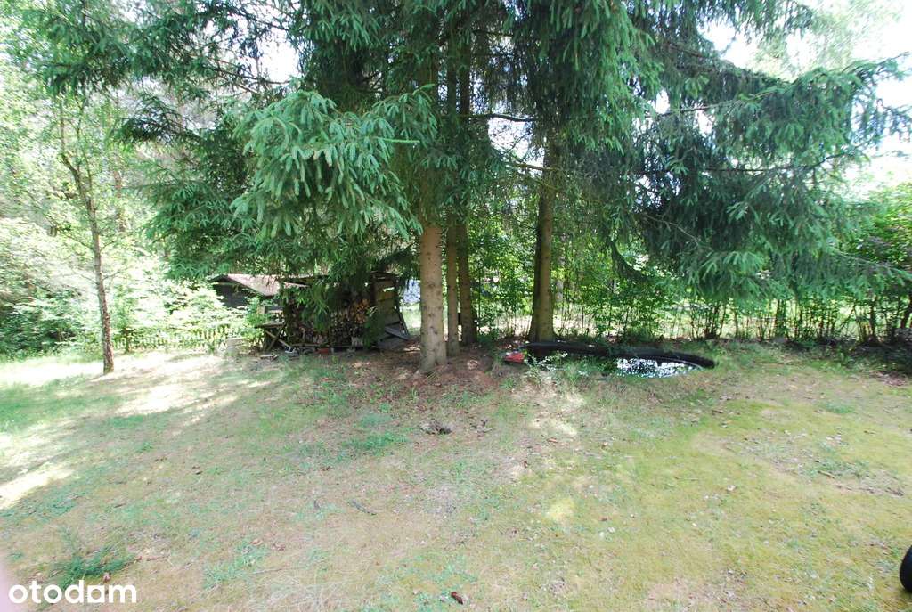 Urokliwy domek w środku lasu - Moczydło-16