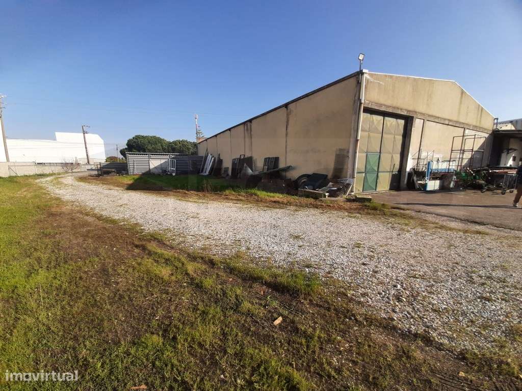 Armazém para arrendamento - Zona Industrial de Vagos - Grande imagem: 5/6
