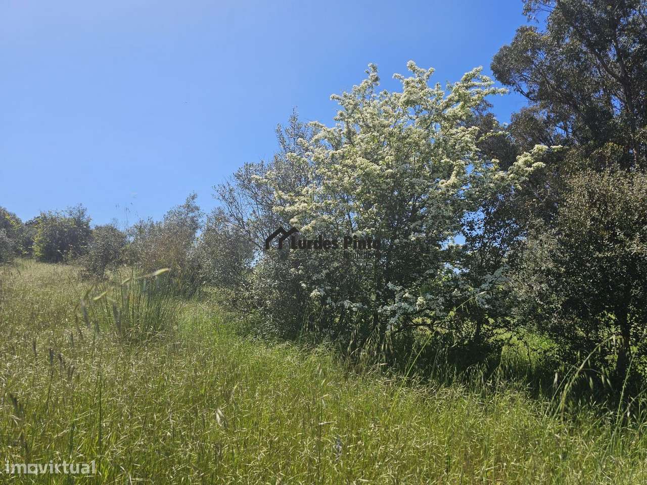 Quinta com construção em pedra perto do rio-10