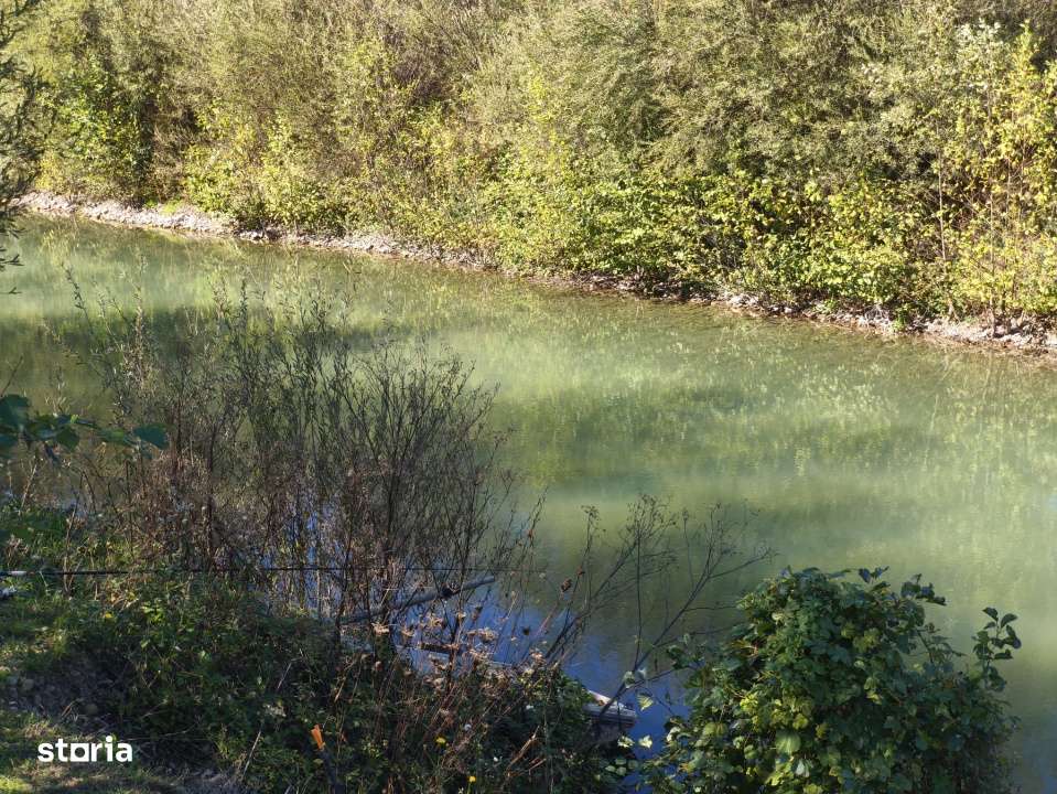 Teren imprejmuit cu iaz indiguit, 7200mp, Fratautii Vechi, Radauti - Imagine principală: 4/8