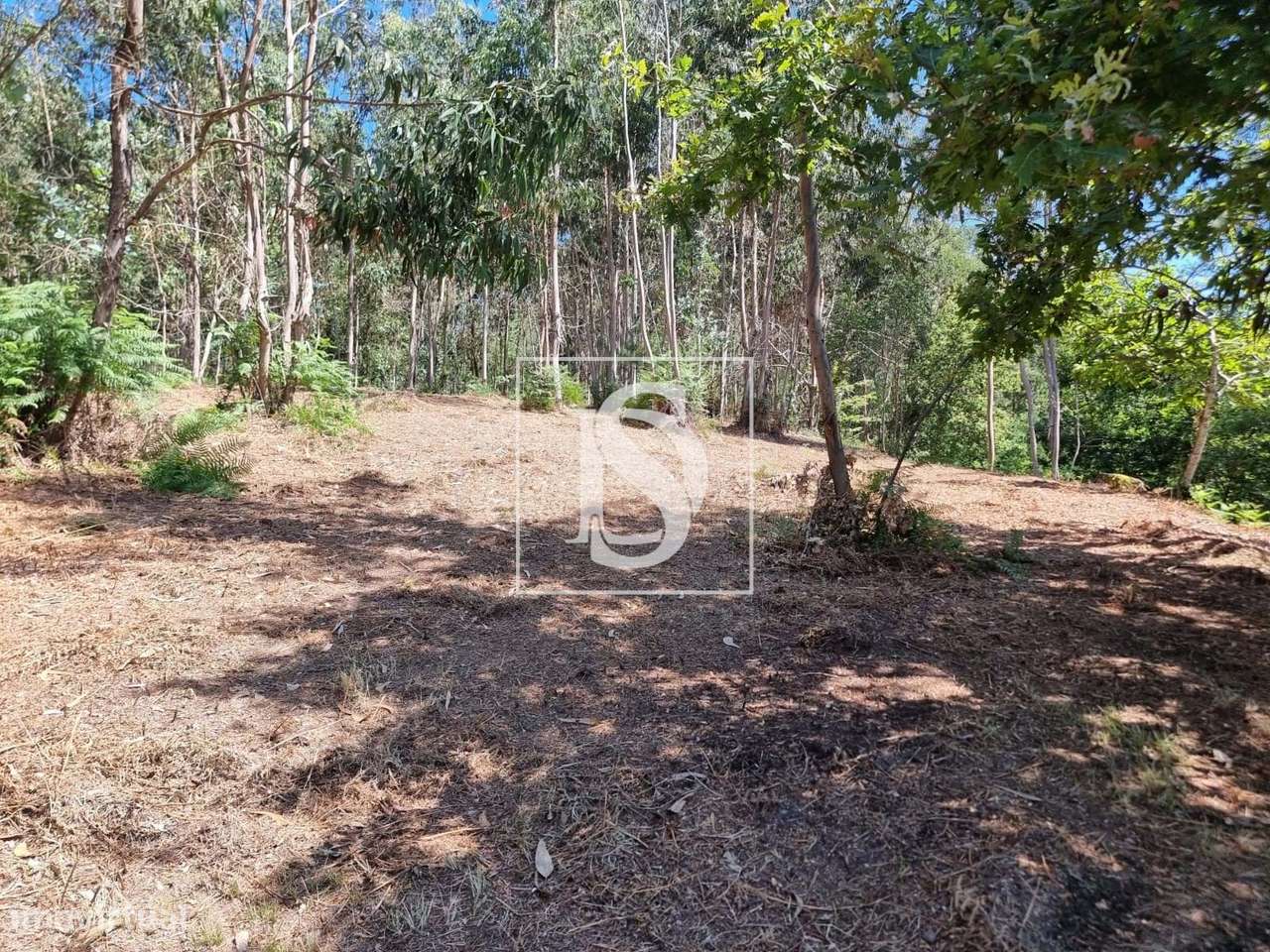 Terreno com Capacidade de Construção-7