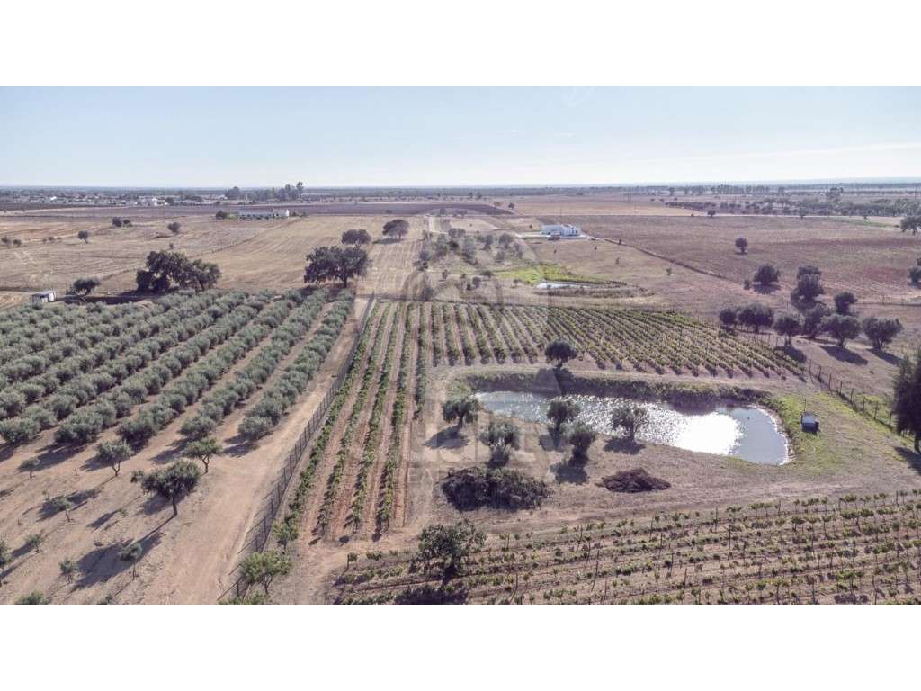 Quinta T4+1 em Fortes - Grande imagem: 4/29