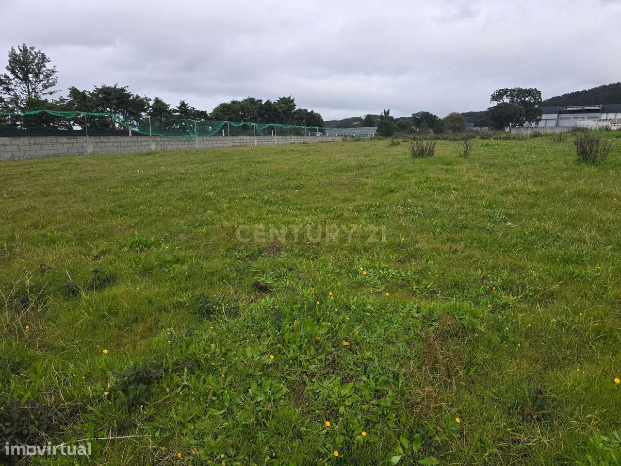 Terreno Construtível em Alfeizerão, Alcobaça - 1700m² - Grande imagem: 4/8