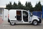 Fiat FIORINO - 19