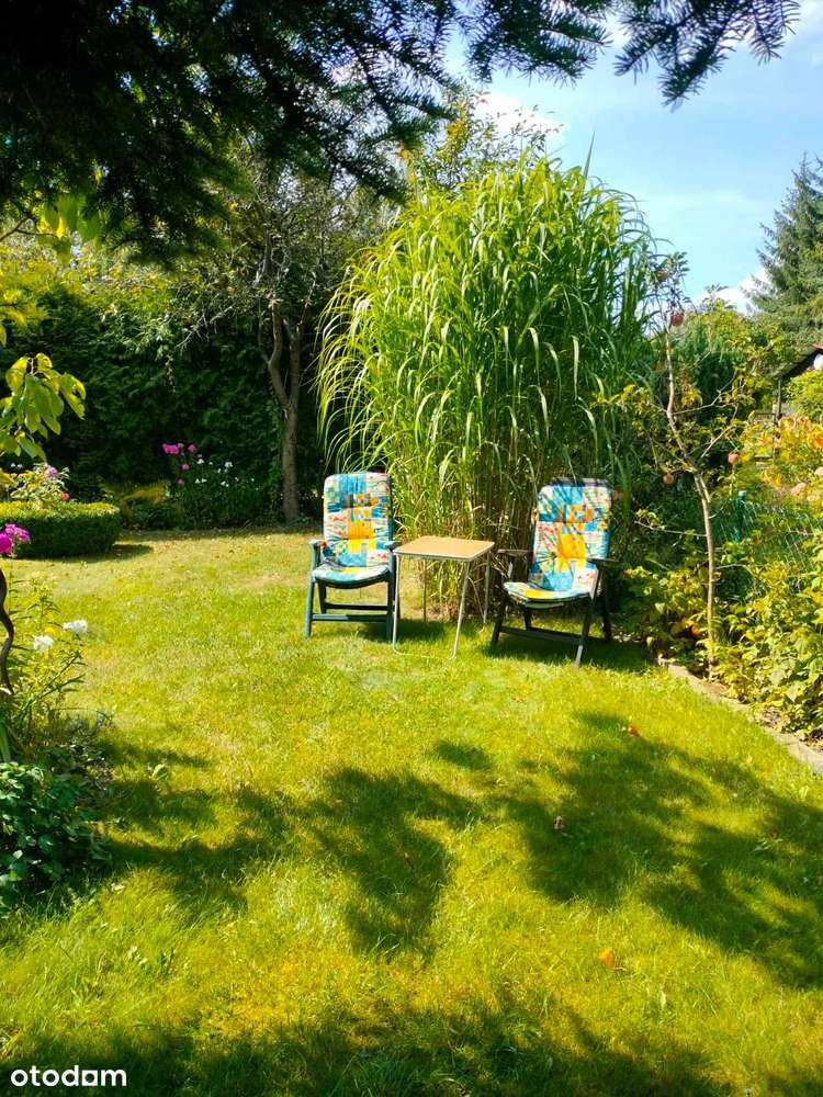 Zadbana działka rekreacyjna ROD . Murowany domek z tarasem. - Pełny obrazek: 5/13