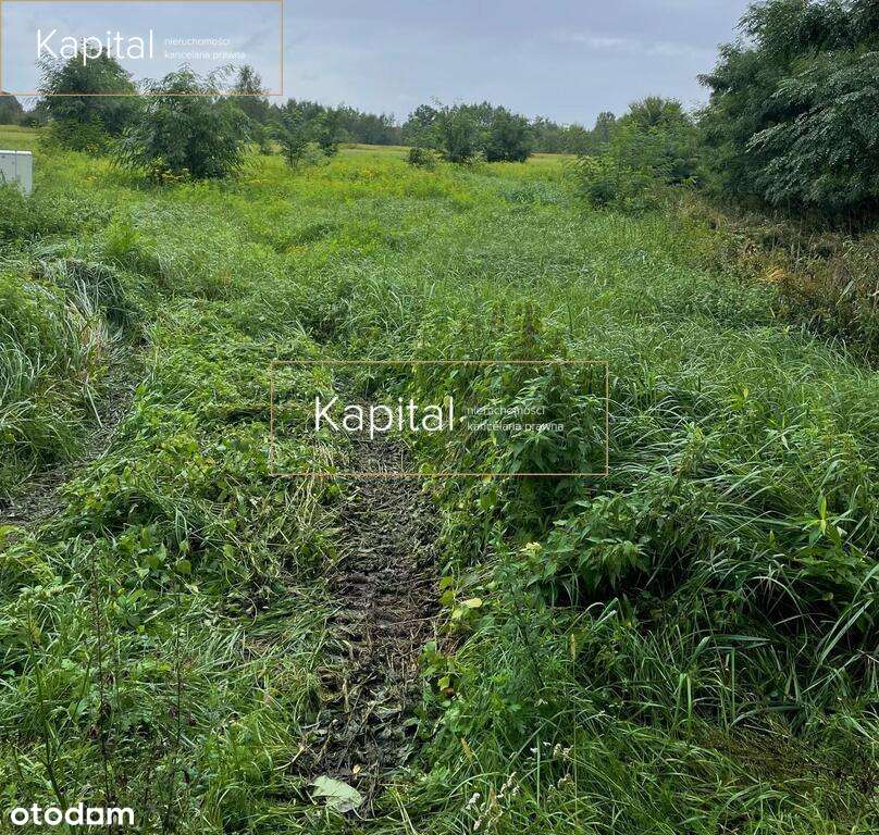 Działka | Marszowice Malownicze III | Budowlana | - Pełny obrazek: 5/6