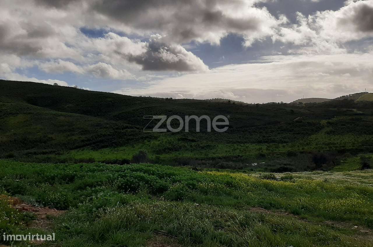 Terreno Rústico de 3 Hectares – Mexilhoeira Grande, Portimão - Grande imagem: 4/14