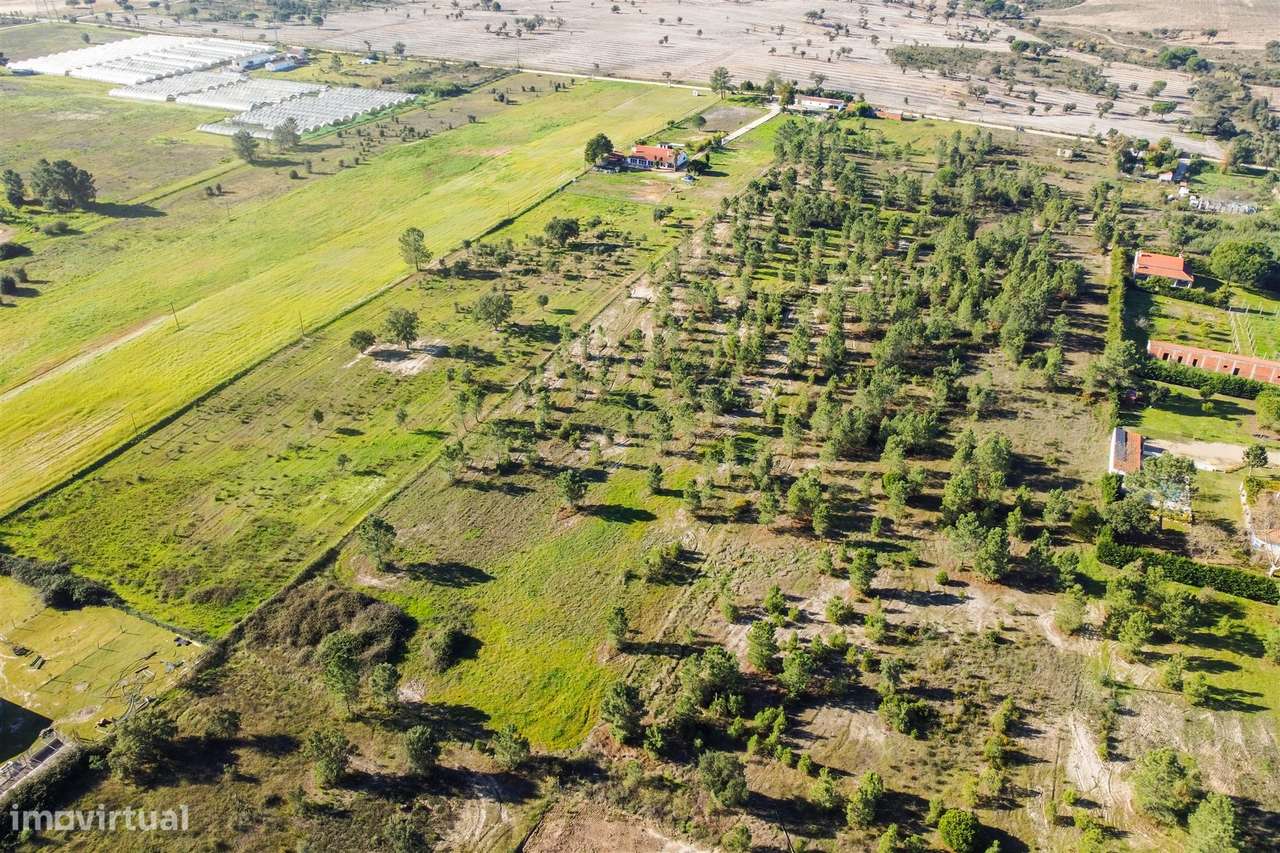 Terreno  Venda em Benavente,Benavente - Grande imagem: 2/8
