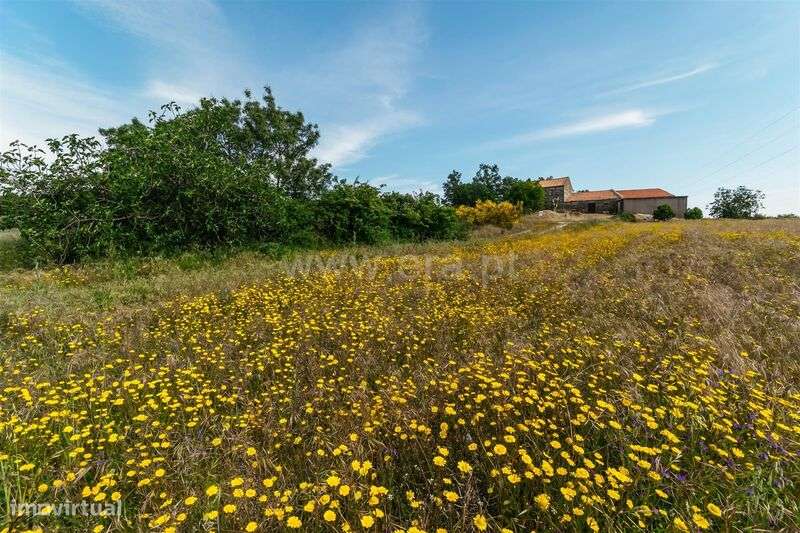 Quinta T2 / Belmonte, Belmonte - Grande imagem: 5/20