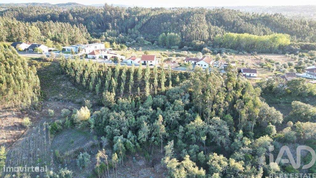 Terreno para construção em Pelariga - Grande imagem: 4/22