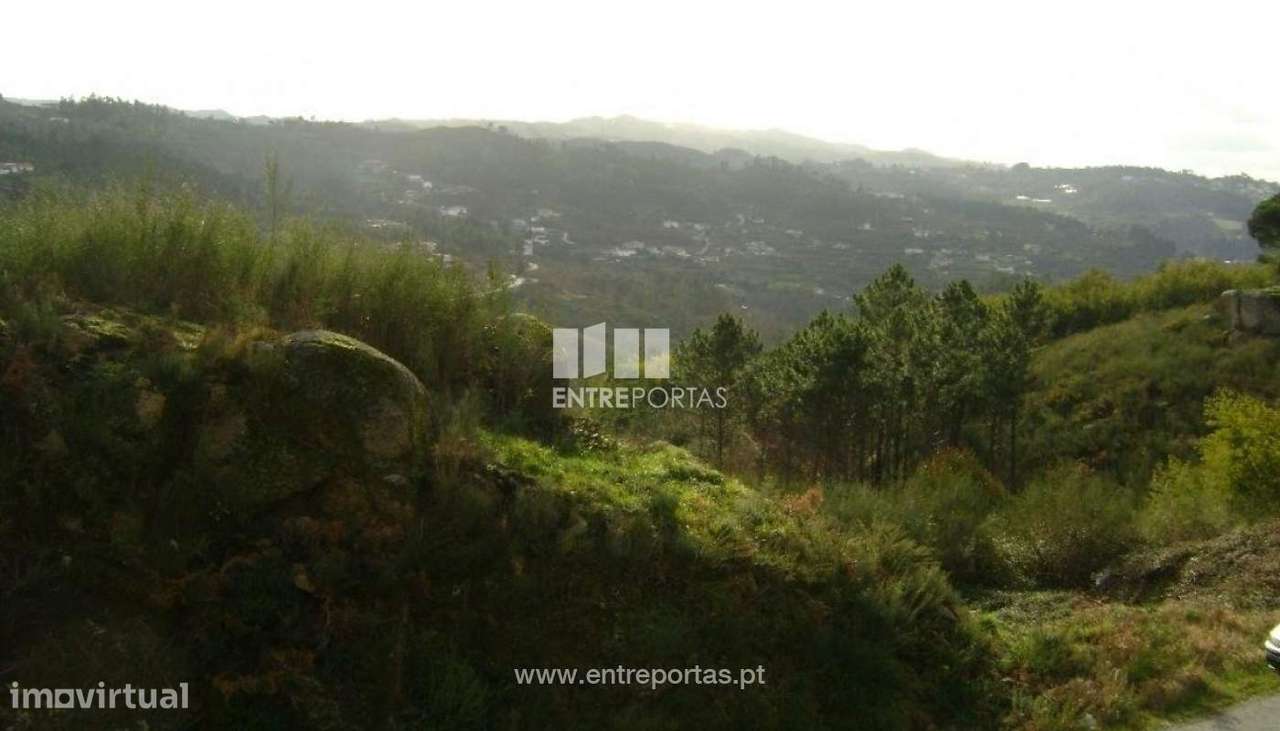 Venda Terreno, Tabuado, Marco de Canaveses - Grande imagem: 2/7