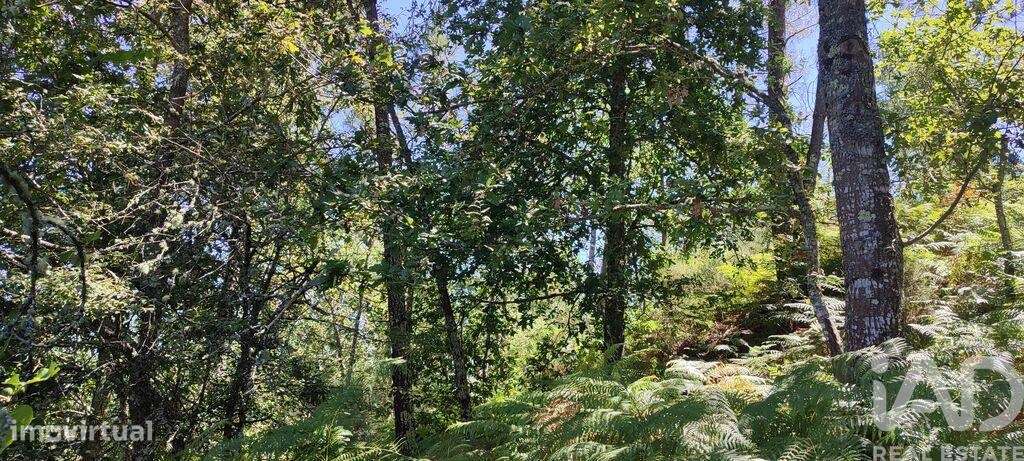 Casa / Villa em Vila Maior de 60 m2 - Grande imagem: 4/9