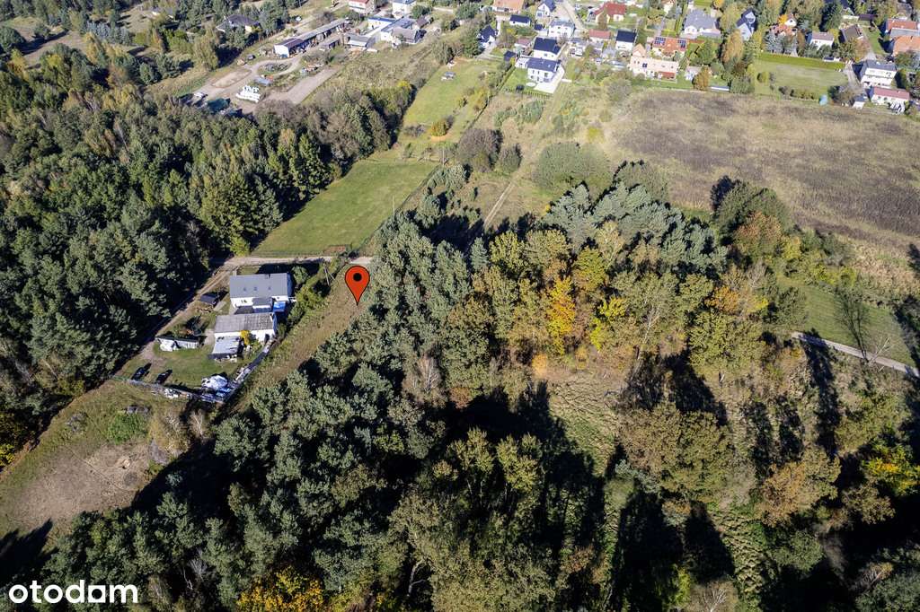 Las na własność, dom na wyłączność!-8