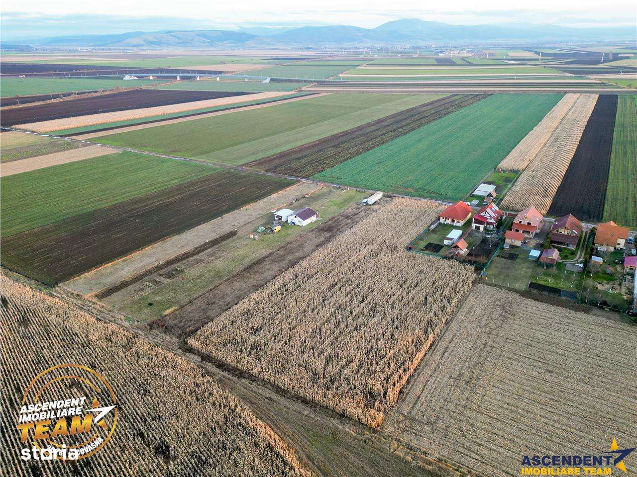 FILM! Teren mixt, 2.493 mp, Chilieni, judetul Covasna - Imagine principală: 4/7