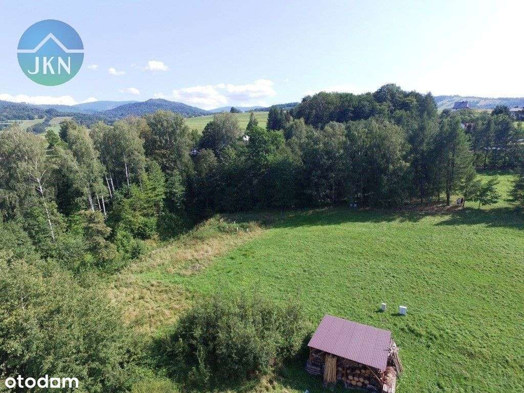 Działka z lasem w ładnym miejscu - pod rekreację - Pełny obrazek: 4/17