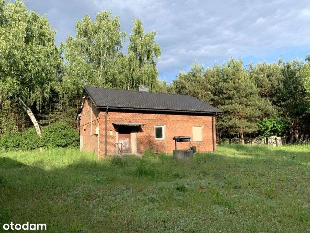 dom w środku lasu gm. Izbica Kujawska woj Kujawsko-8