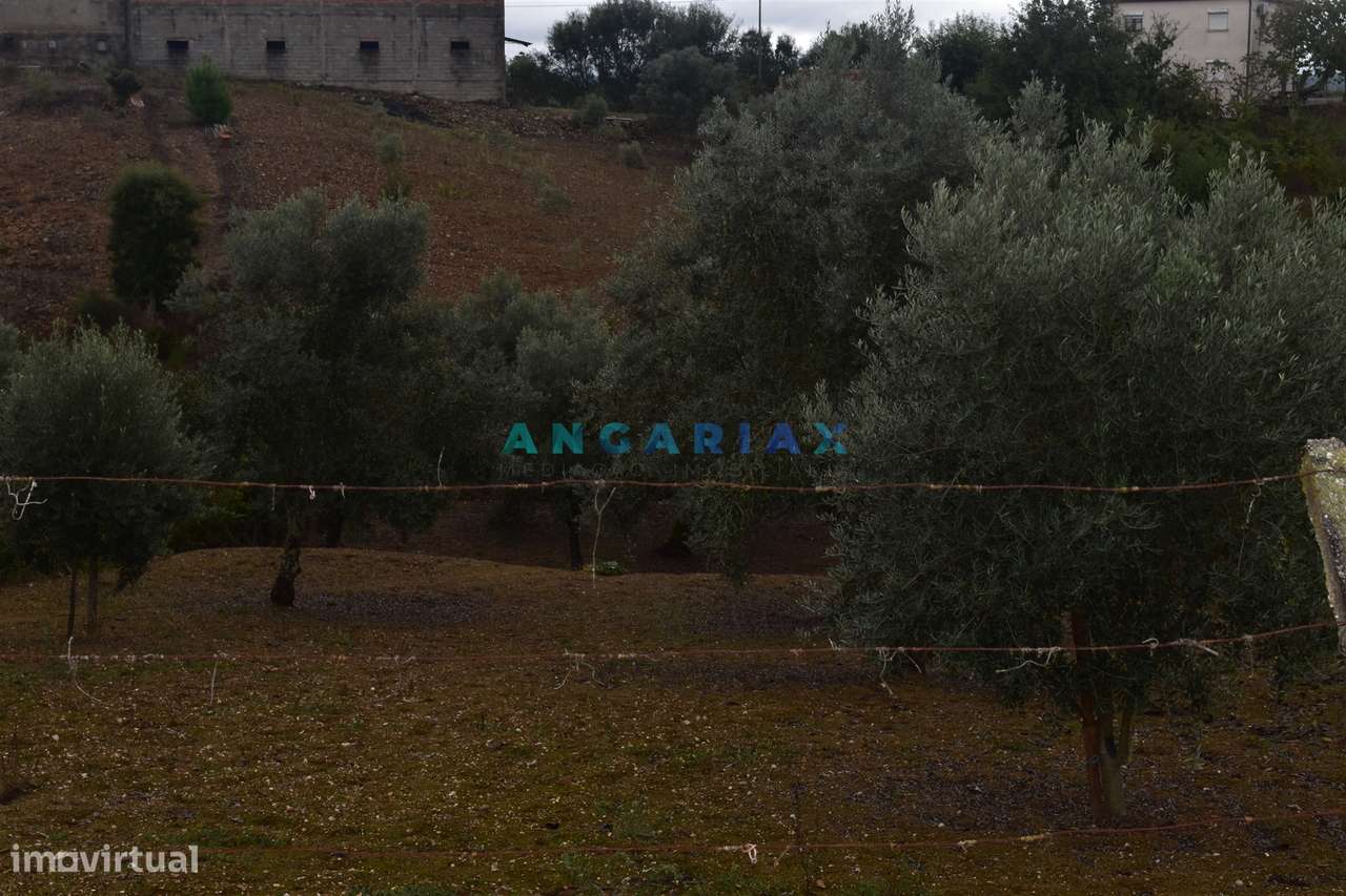 ANG1220 - Terreno para Venda em Atalaia, Pedrógão Grande - Grande imagem: 4/9