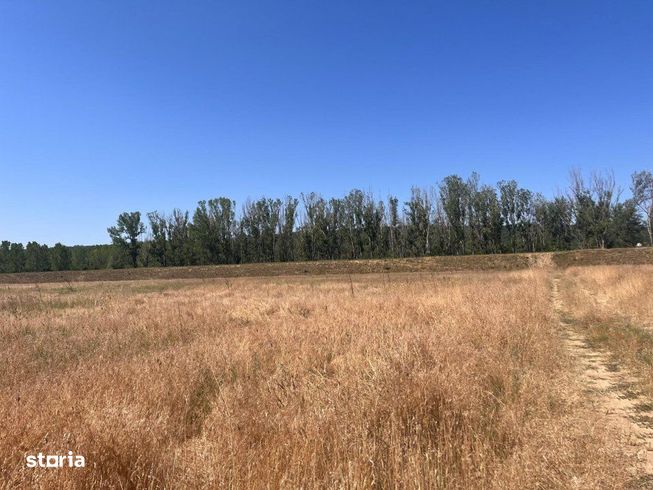 Teren agricol cu potential – 24.834 mp, zona Podul Jiului-2