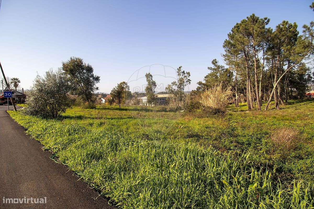 Terreno  para venda-6
