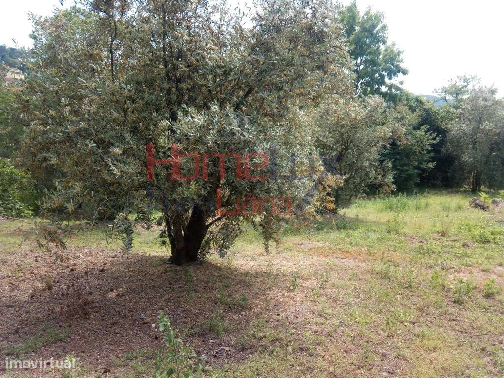 Excelente Terreno para venda em Viseu. - Grande imagem: 3/16