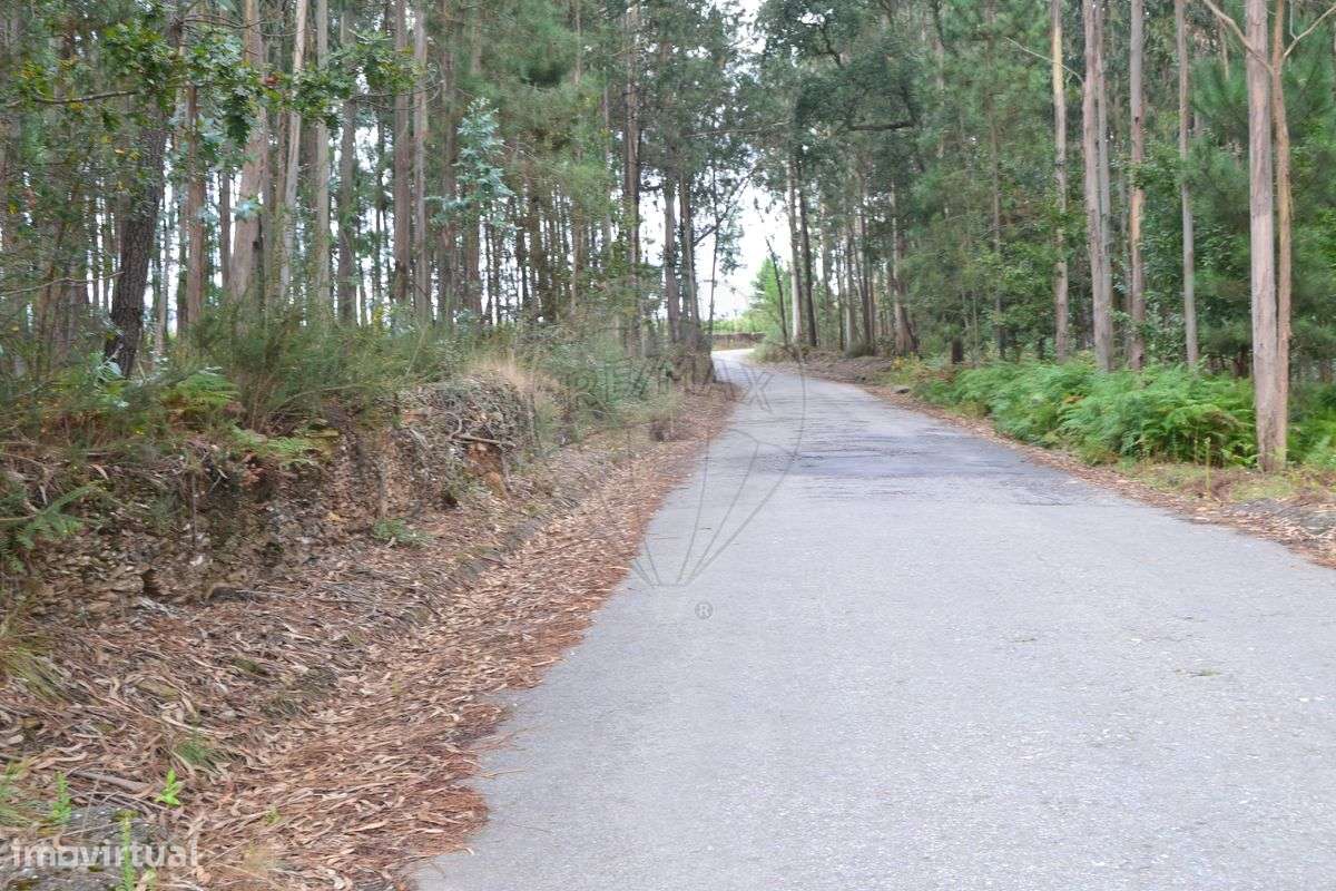 Terreno  para venda - Grande imagem: 5/6