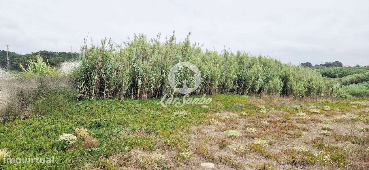 Lote para moradia c/903m2 na 1ª Linha de Praia em Vila do Conde - Grande imagem: 5/12