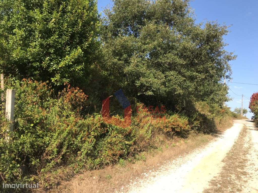 Terreno com 1800m2 para construção de moradia, em S. Jorge, Calvari... - Grande imagem: 3/6