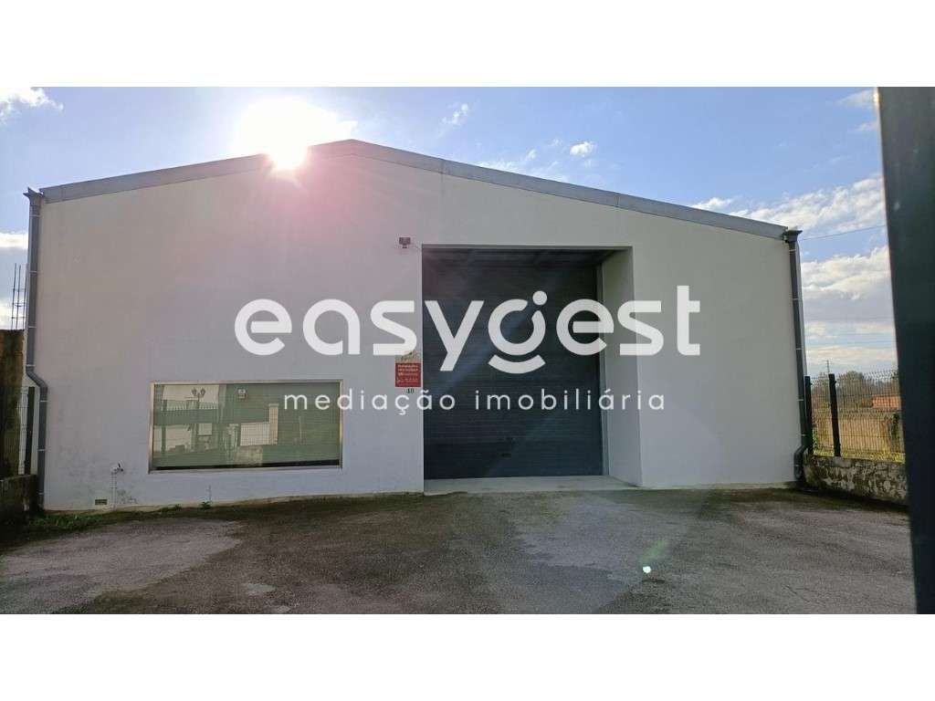 Armazém com excelente localização no Troviscal (Oliveira do Bairro) - Grande imagem: 2/25