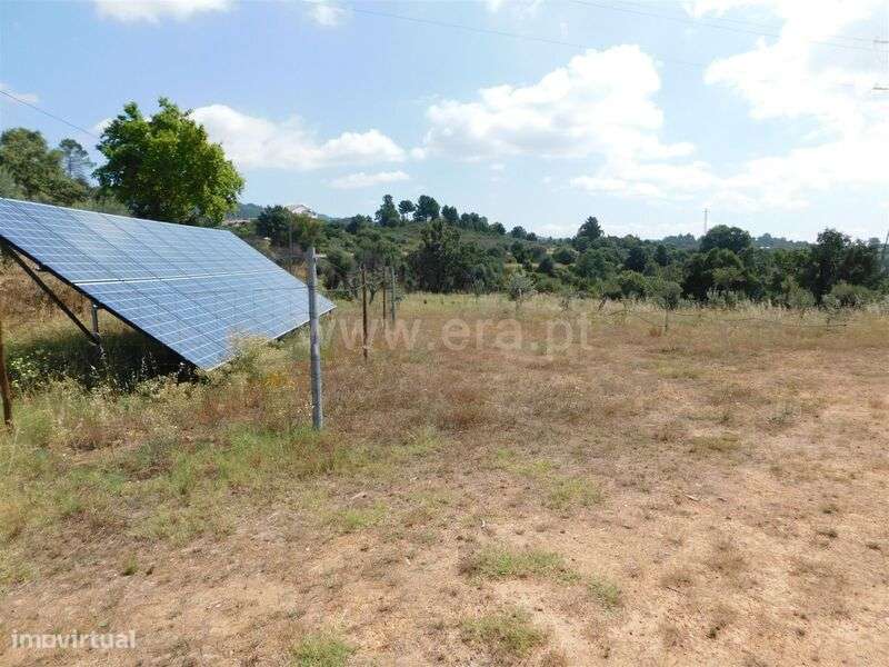 Terreno / Fundão, Pêro Viseu - Grande imagem: 1/14