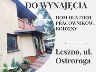 OKAZJA! do wynajęcia dla firm, pracowników, rodzin