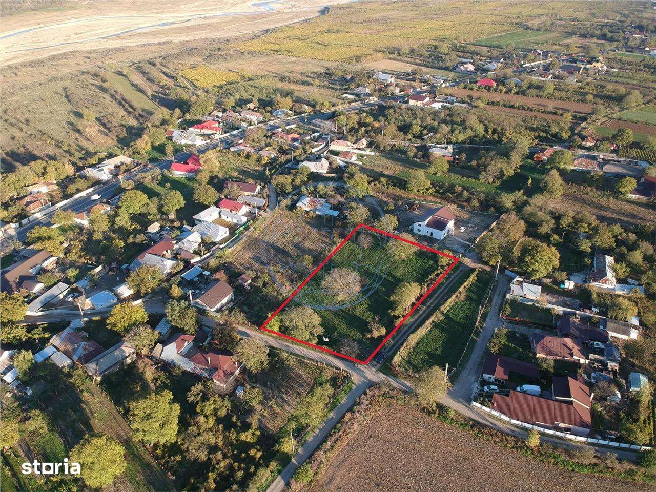 TEREN DE VANZARE BOLOTESTI - Imagine principală: 4/7