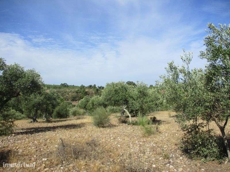 Terreno - Grande imagem: 3/16