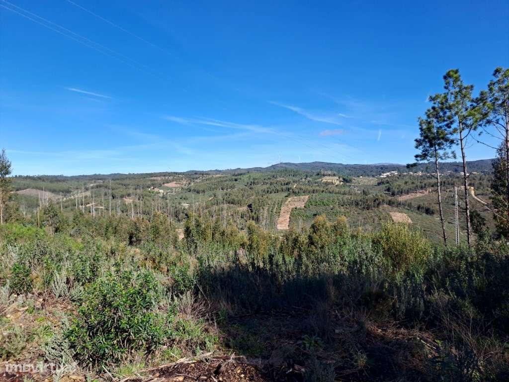 Próximo à Barragem do Vergancinho - Estrada Municipal 536. A curta ... - Grande imagem: 4/6