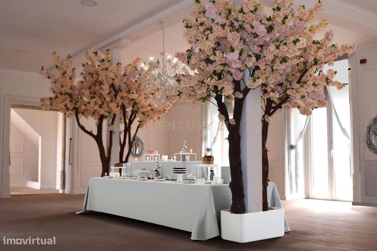 Quinta de Eventos e Propriedade Turística - Paião - Grande imagem: 5/60