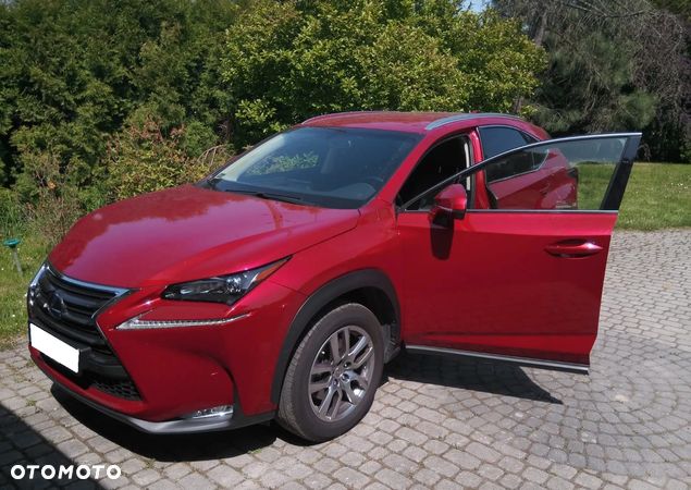 Lexus NX - 1